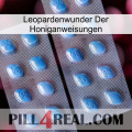 Leopard Miracle Of Honey Instructions viagra4